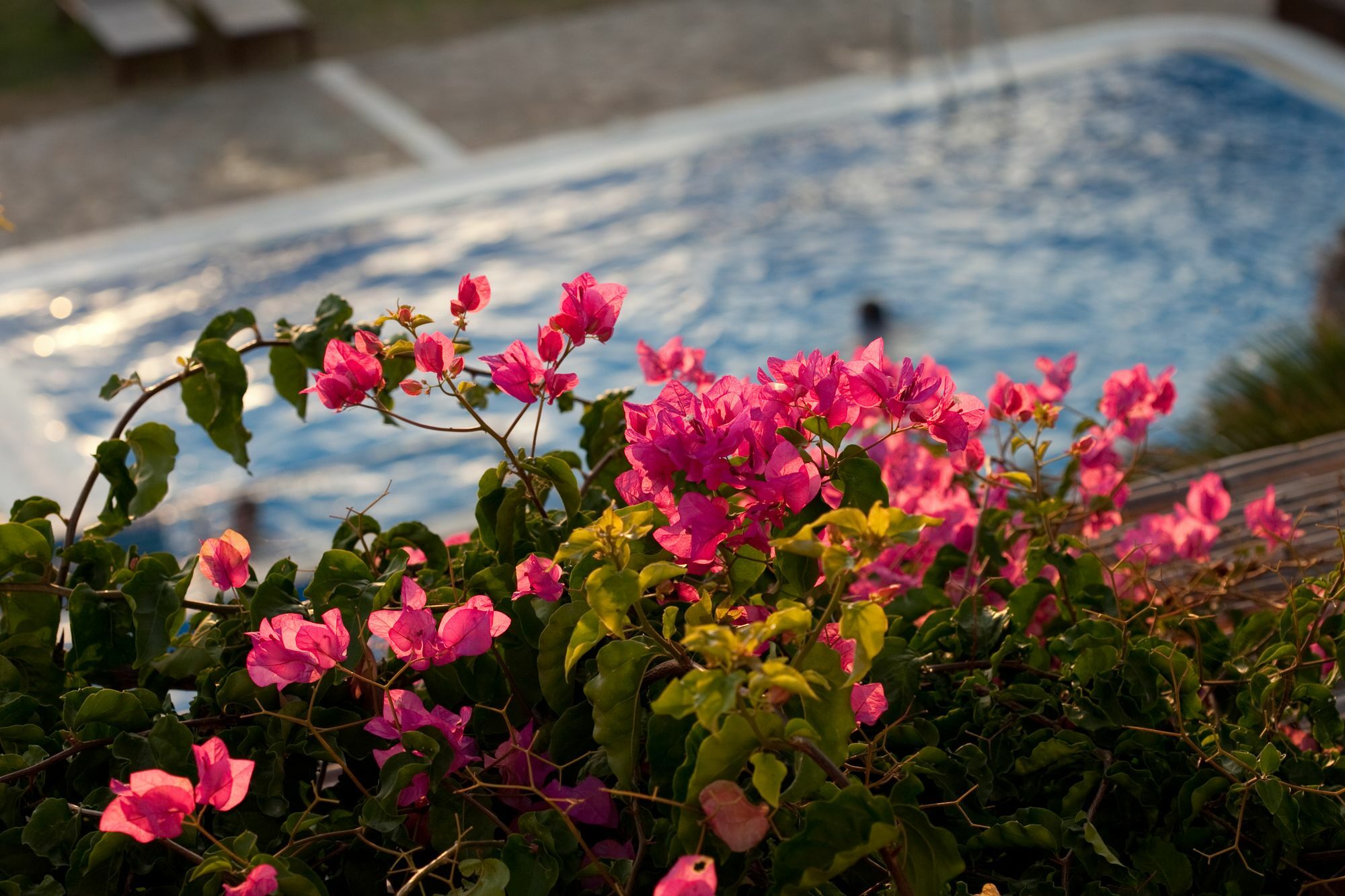 Antonina Hotel Agia Anna  Ngoại thất bức ảnh